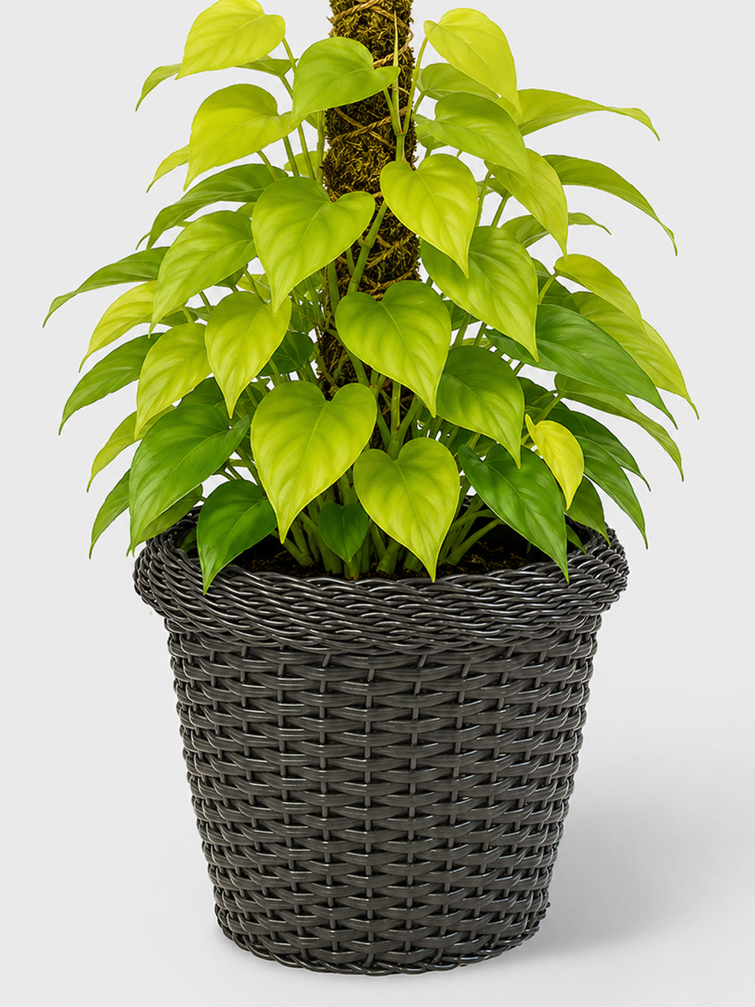 MACETA TEJIDA DAGUA 40CM WENGUE