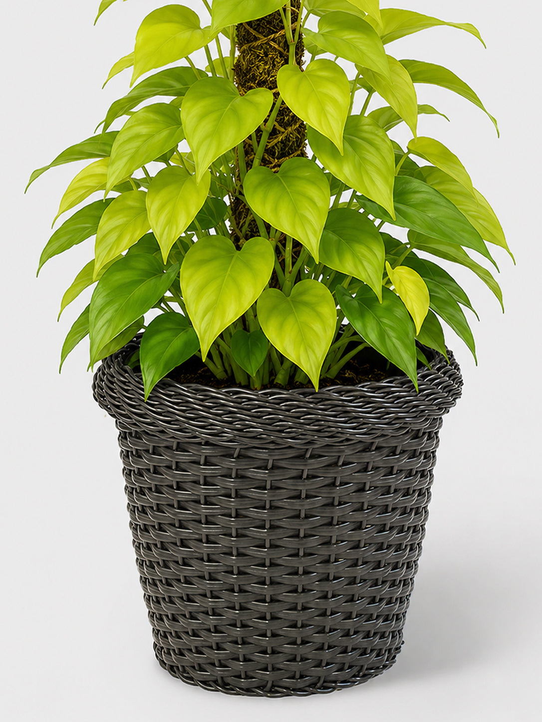 MACETA TEJIDA DAGUA 50CM WENGUE