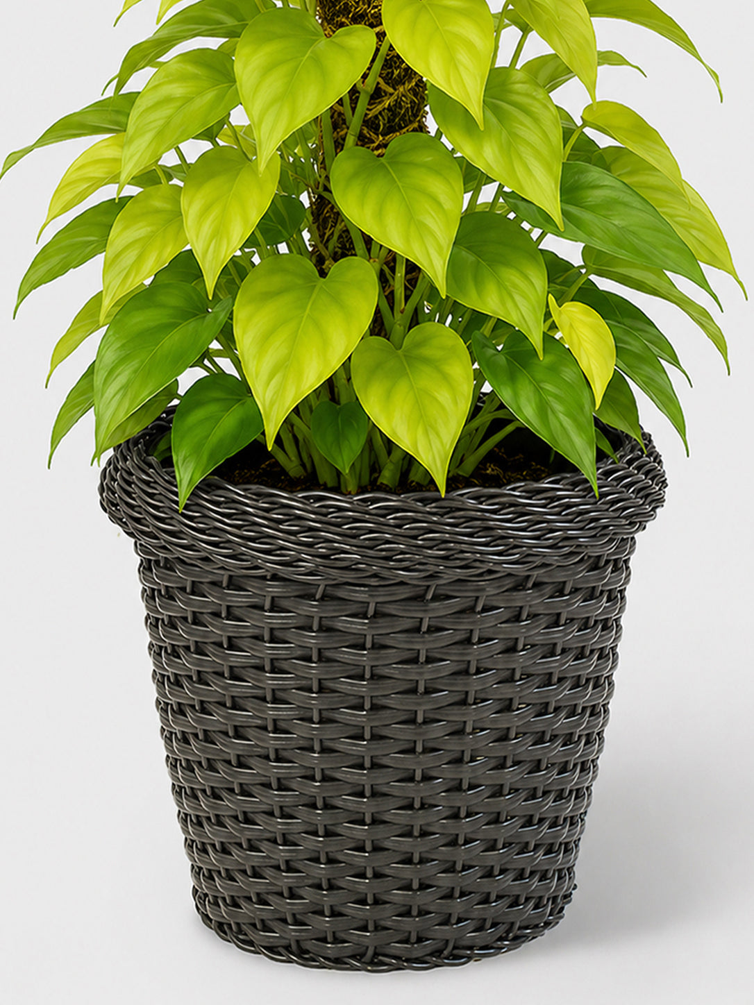 MACETA TEJIDA DAGUA 60CM WENGUE