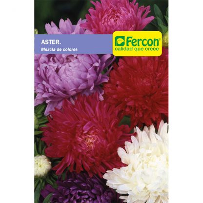 ASTER MEZCLA DE COLORES        5145