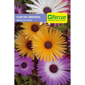 FLOR DEL MEDIODIA              6130