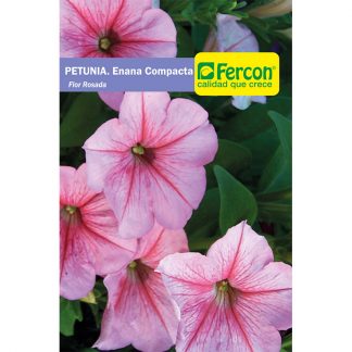 PETUNIA ENANA ROSA DEL CIELO   6240