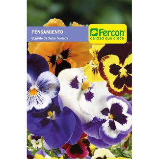 PENSAMIENTO GIG. VARIADO       6745