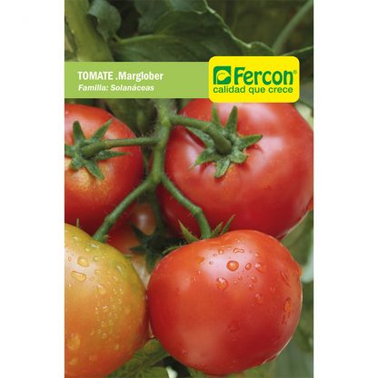 TOMATE MARGLOBER