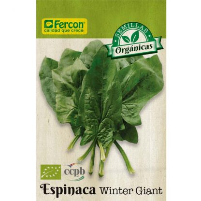 ESPINACA WINTER GIANT  BIO      S.E.