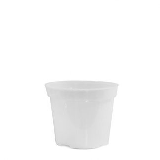 MACETA 8 cm