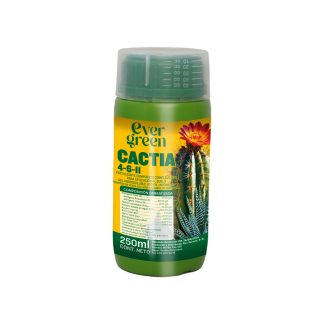 EVER GREEN CACTIA X 250CC