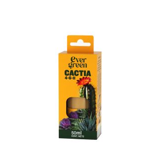 EVER GREEN CACTIA X 50CC